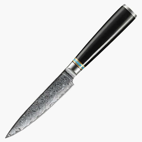 Petit Couteau de Cuisine